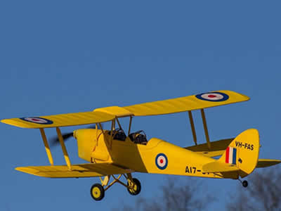Dynam Tiger Moth 1270mm (50 inch) Wingspan - PNP